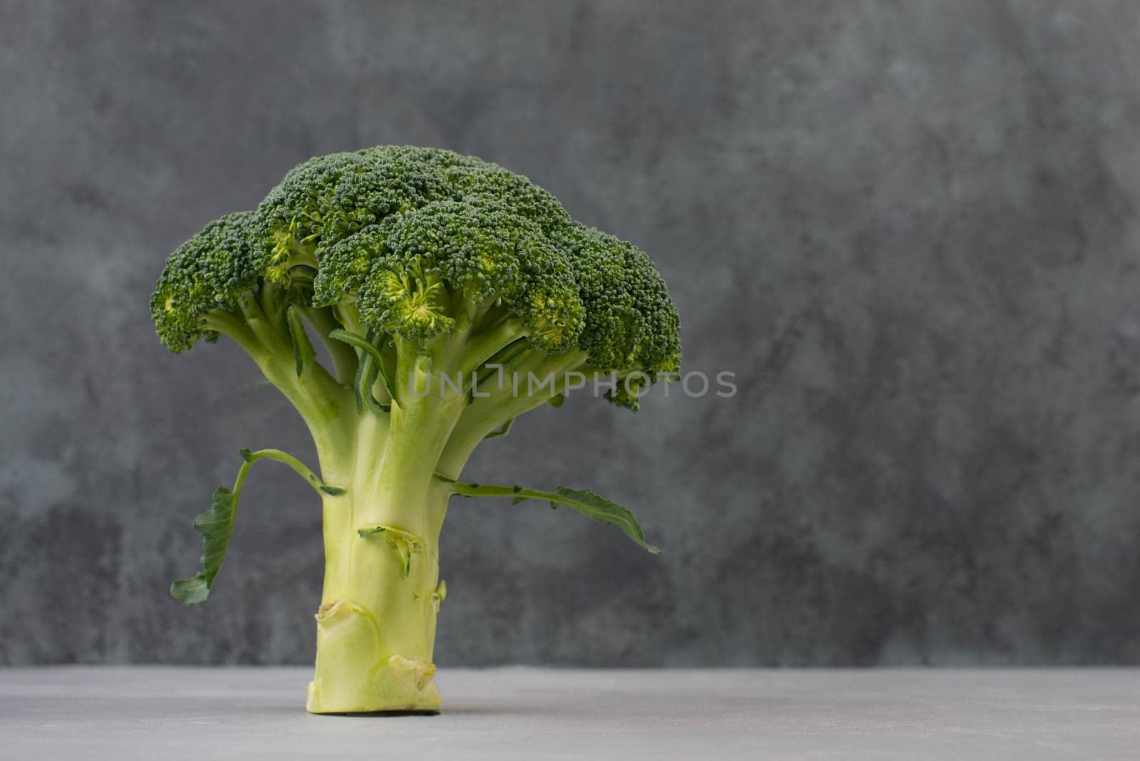 Fresh broccoli on a textured background, empty space for text