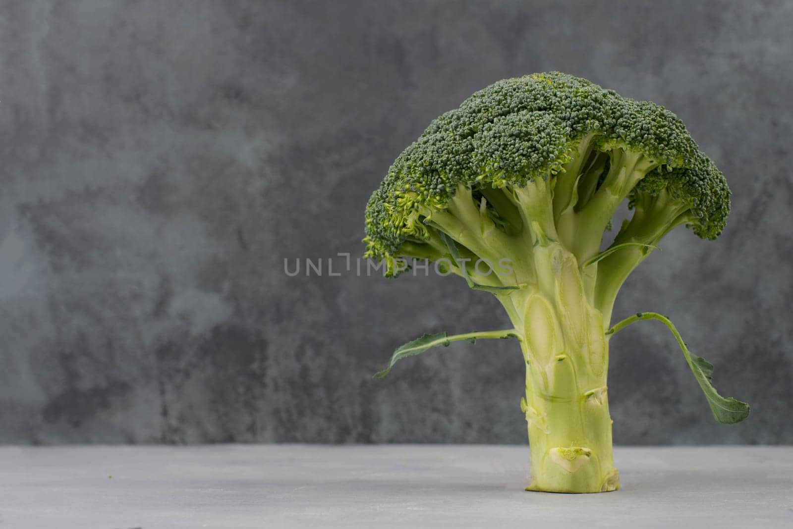 Fresh broccoli on a textured background, empty space for text