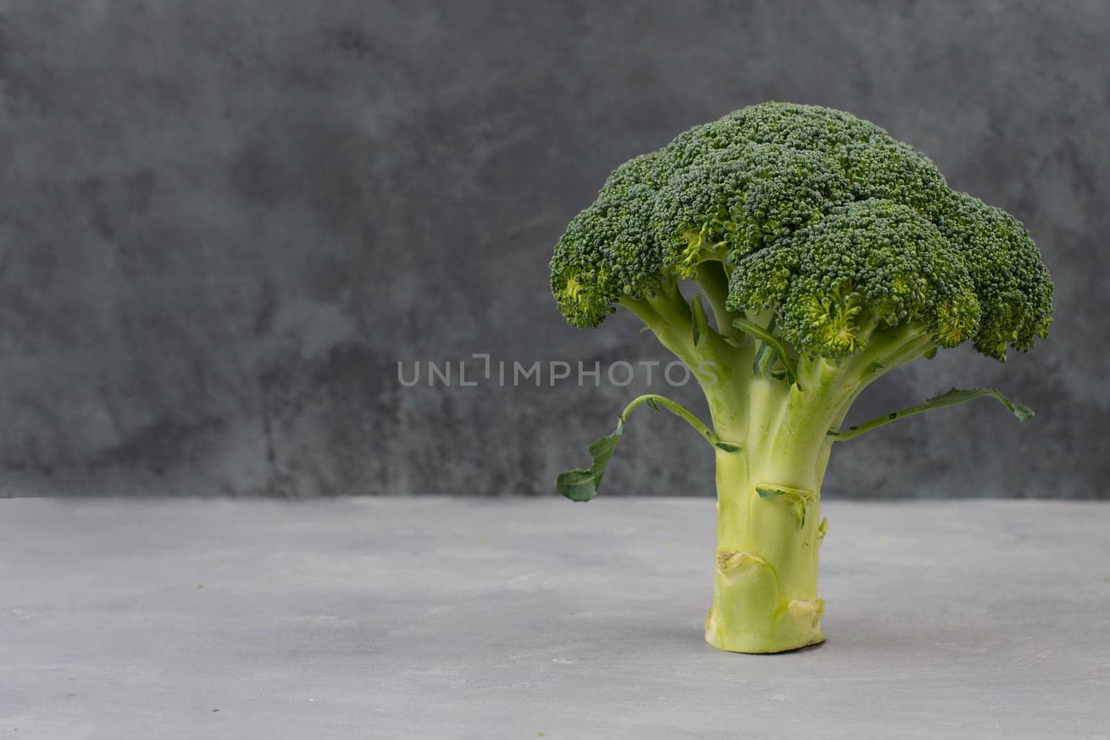 Fresh broccoli on a textured background, empty space for text