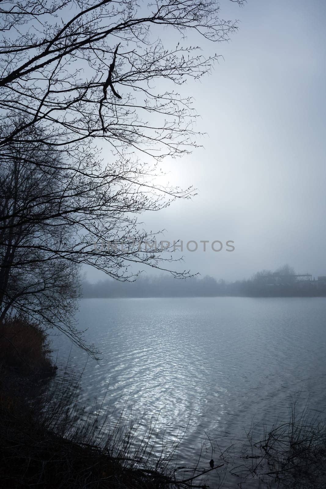 lake with fog and back light