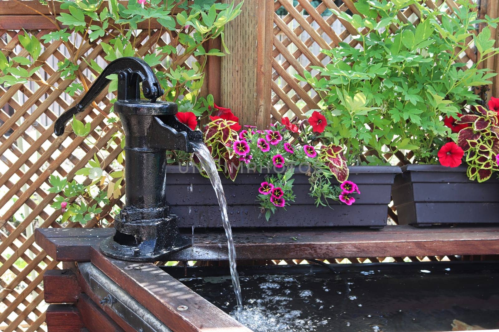 A water fountain infront of a lattice with annuals.