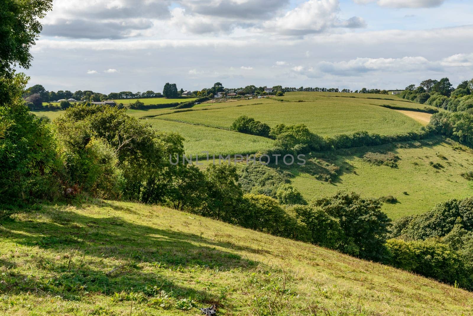 landscape of hilly lush Cornwall countryside.