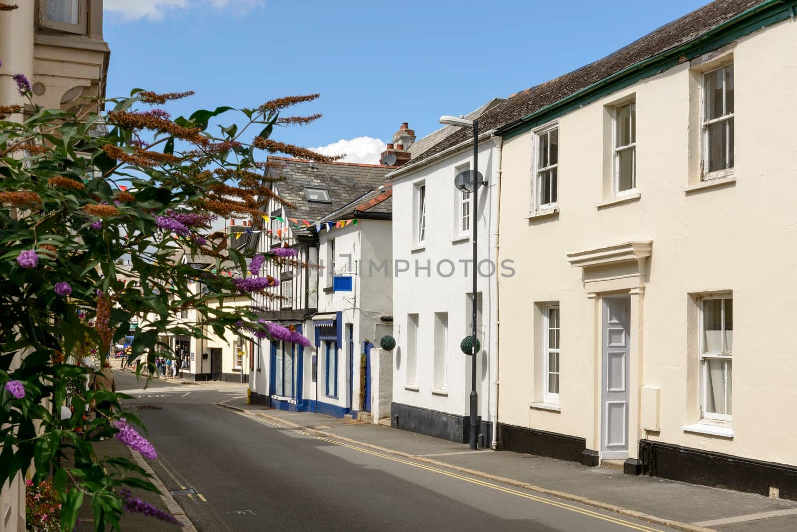 view of  street with old houses in the touristic village in the Dartmoor region.