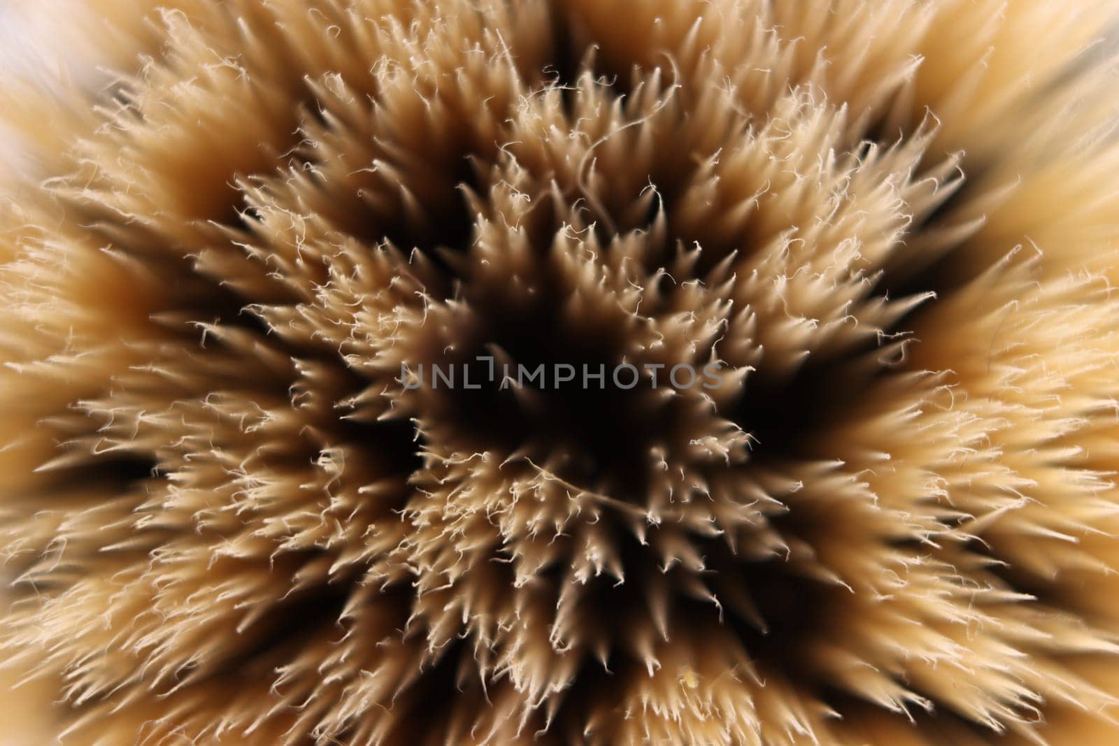 Brush makeup brush to paint the face beauty macro