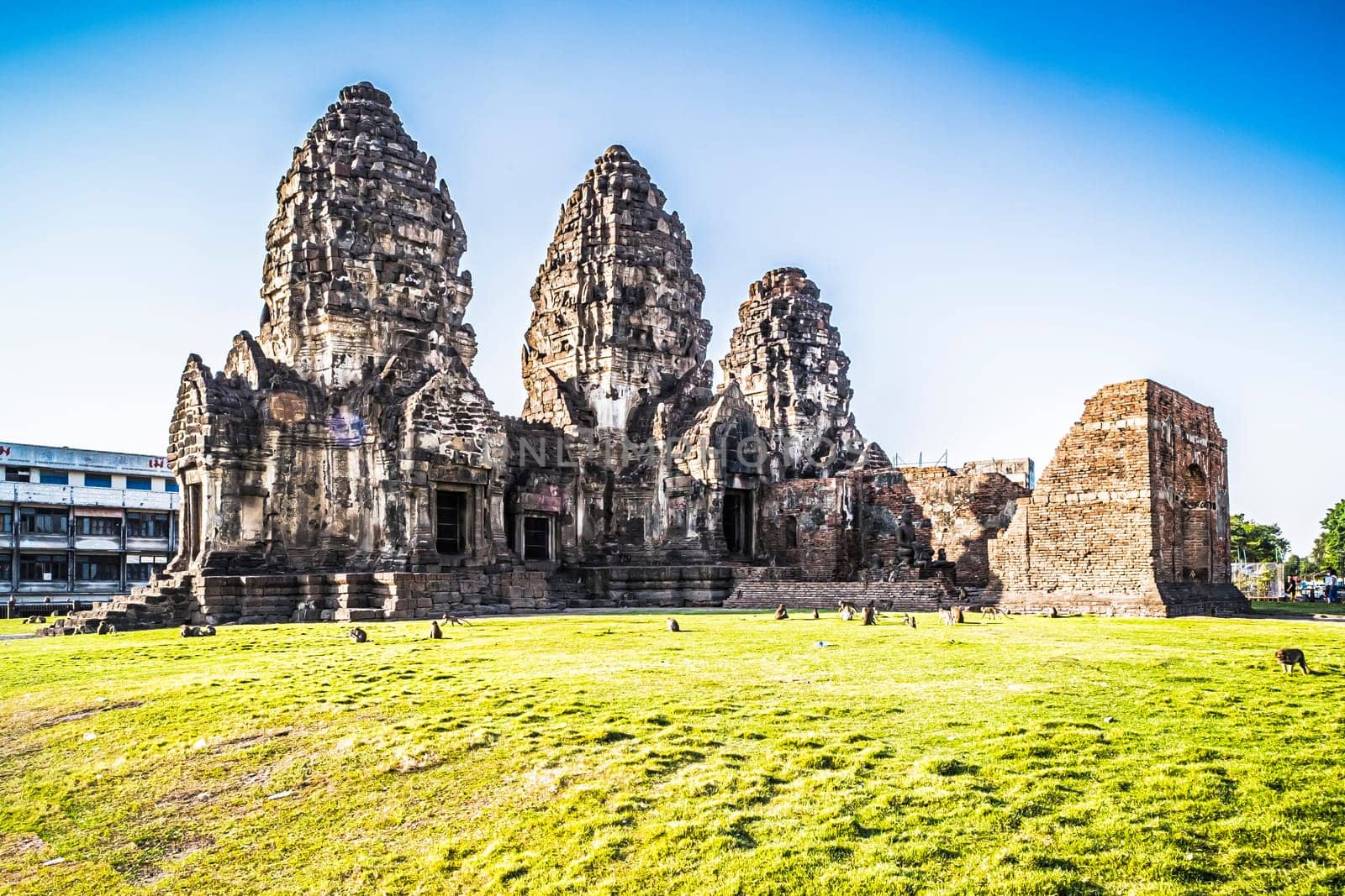 Phra Prang Sam Yod  historical tourist spot in old town . Monkeys lives with ruins in Lopburi, Thailand. Religious buildings constructed by the ancient Khmer art. Asia destination of tourist