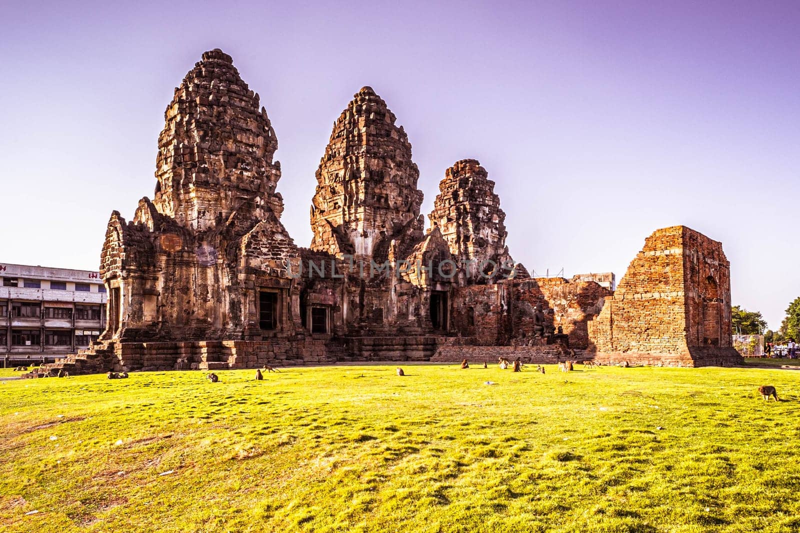 Lopburi Monkey Temple in Thailand. Phra Prang Sam Yot temple with monkey, ancient architecture in Lopburi, Thailand.
