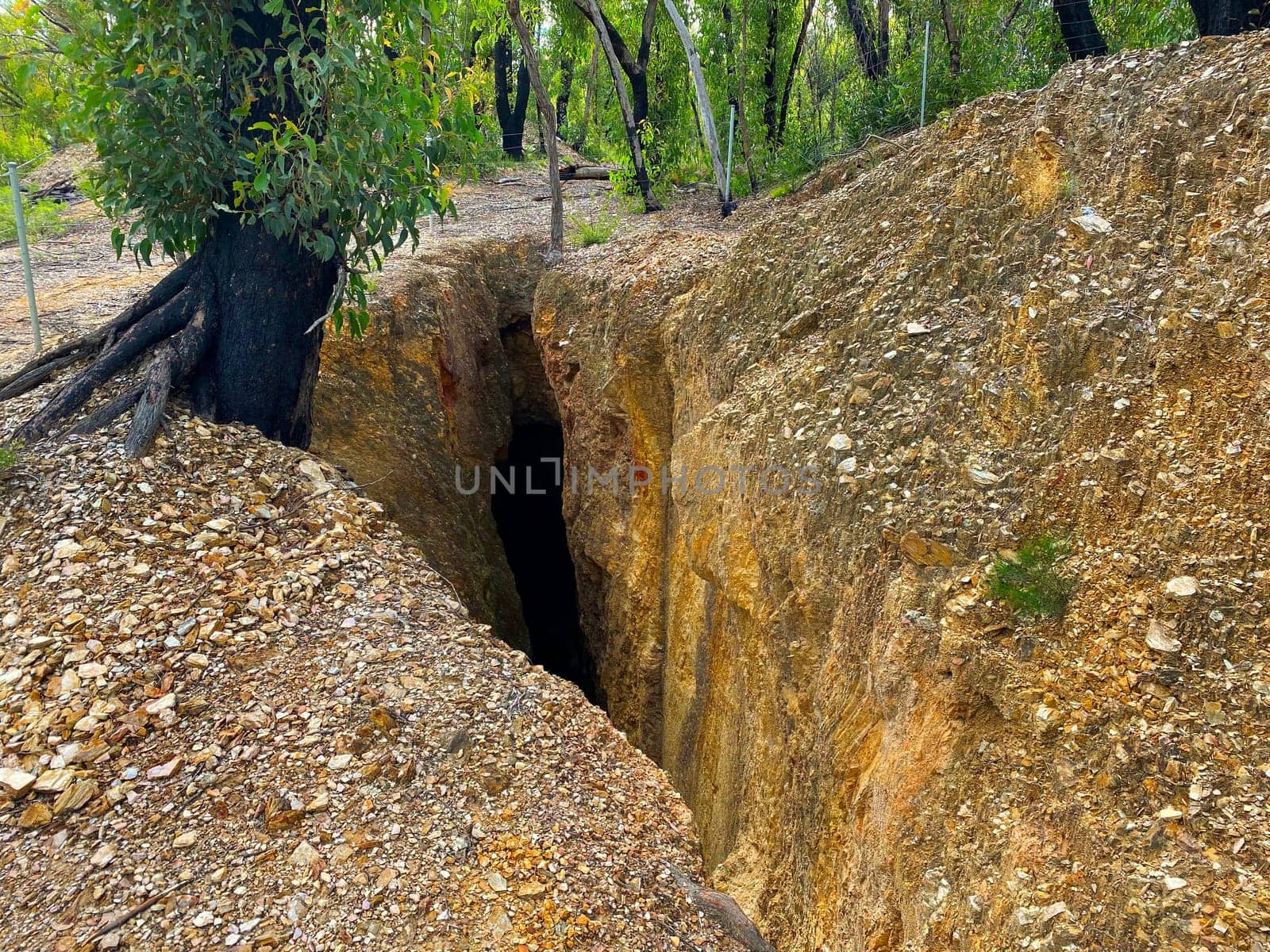 An old gold mine shaft
