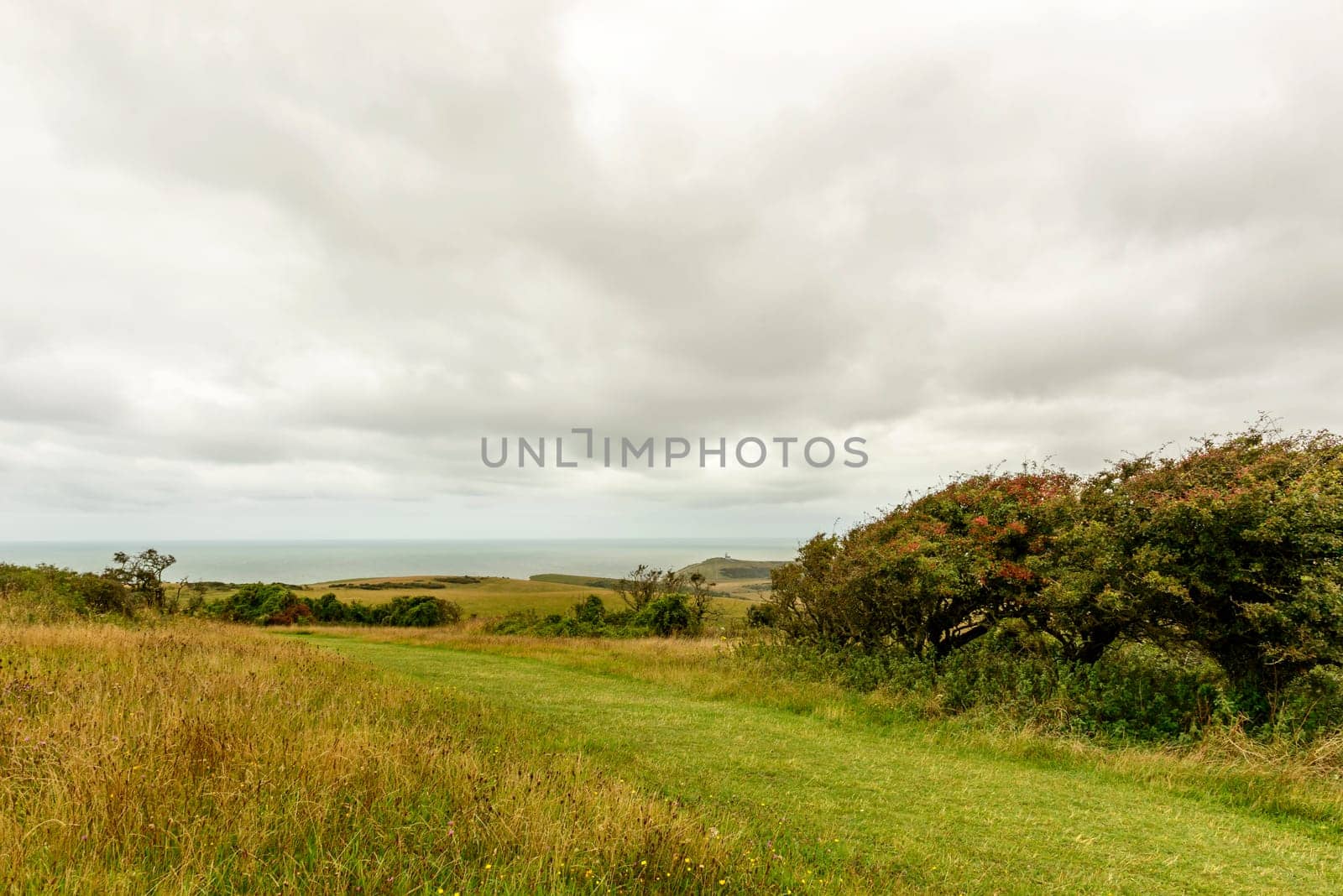 landscape with fields and hedges on green Downs countryside with sea in distance,  shot under bright cloudy sky near Eastbourne, East Sussex .