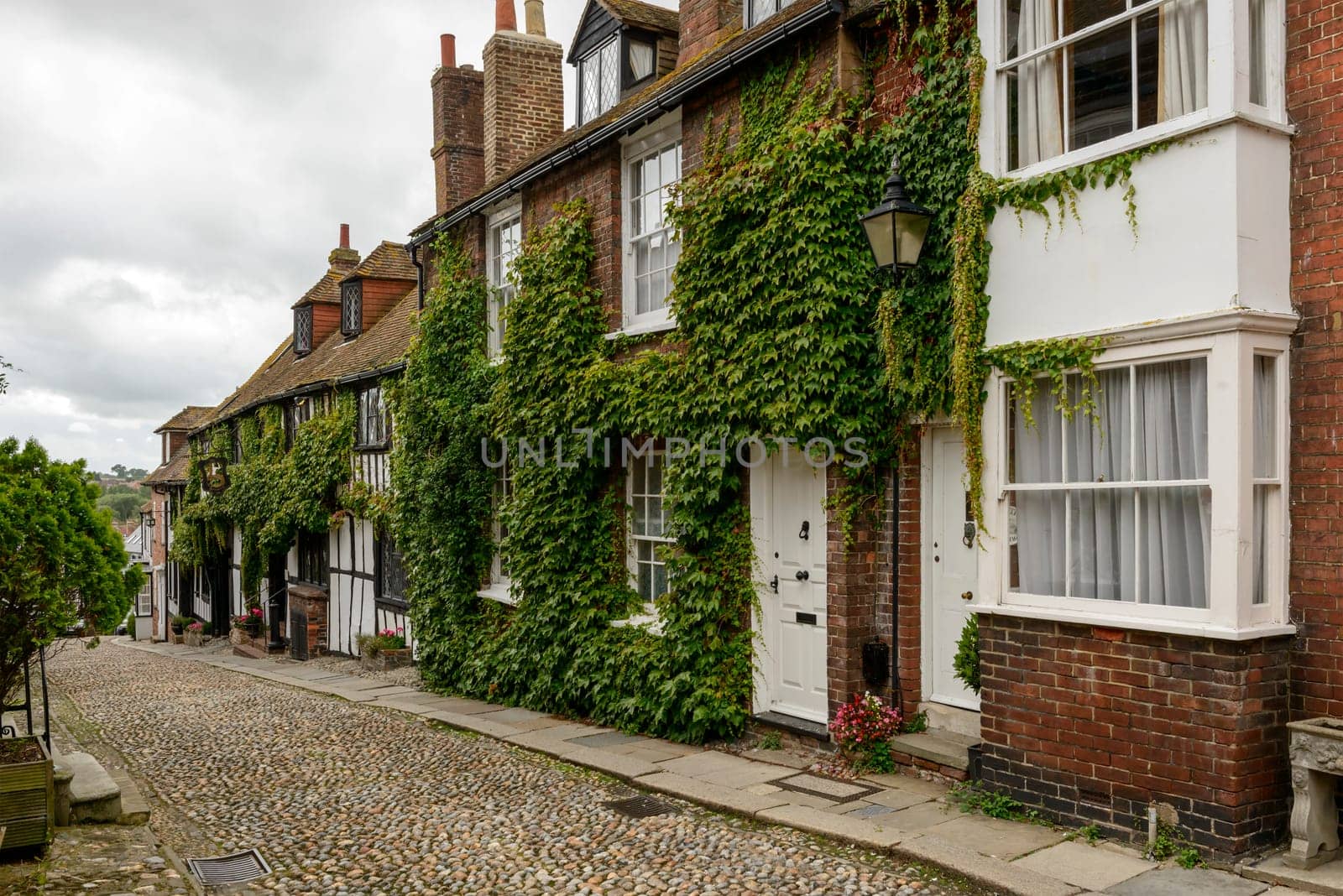 foreshortening of old cottages covered with vine on a downhill cobbled street in small  historic village of Rye, East Sussex .