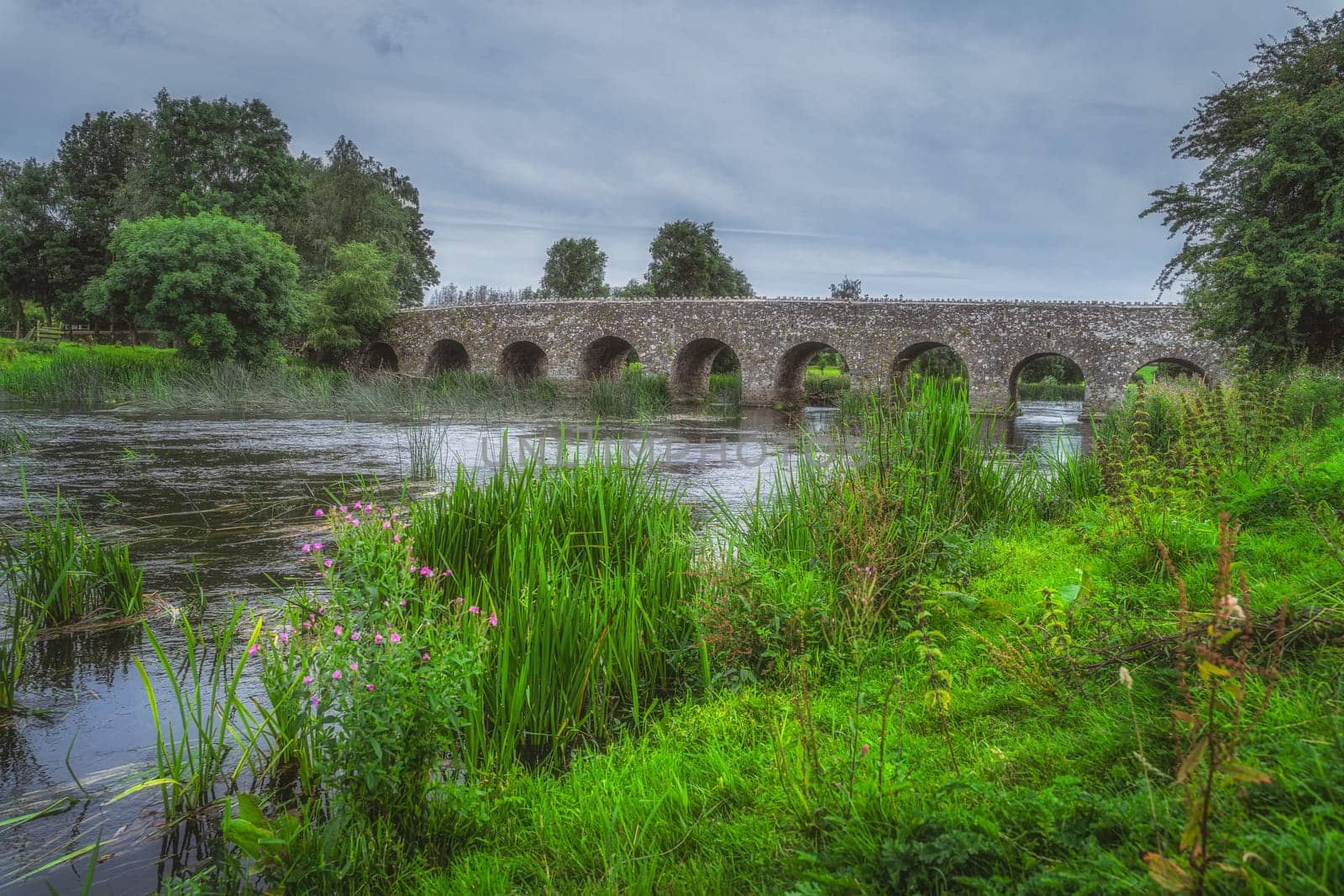 View from riverbank with green grass and plants on old, 12th century stone arch Bective Bridge over Boyne River, Count Meath, Ireland