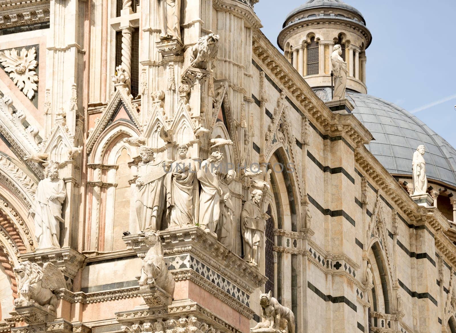 Siena Cathedral, dedicated to the Assumption of the Blessed Virgin Mary .Siena. Italy