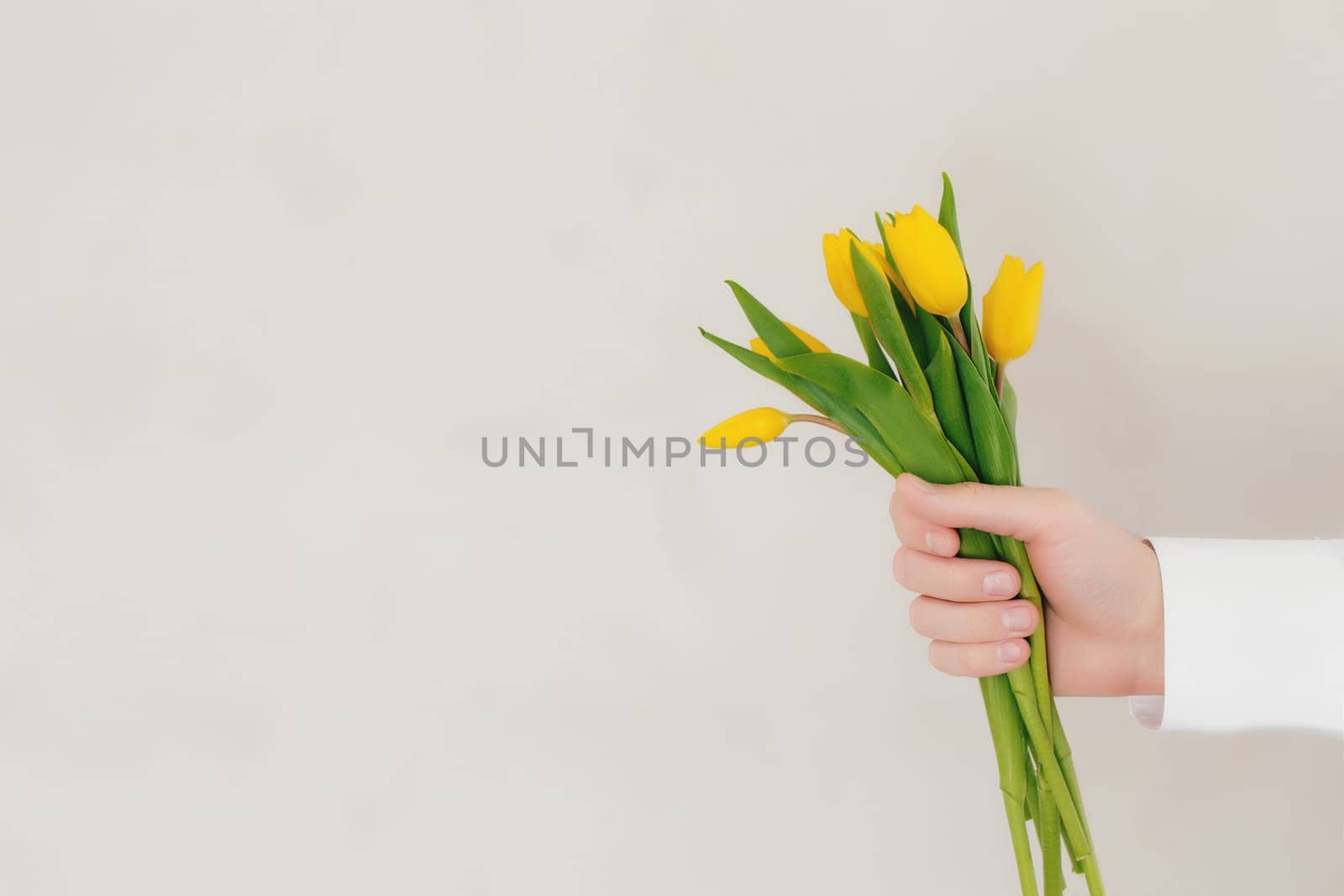 Hand holding bouquet with yellow tulip flowers on gray concrete background. Concept for greeting card for Easter, Mother's day, International women's day, Saint Valentine's day. High quality photo