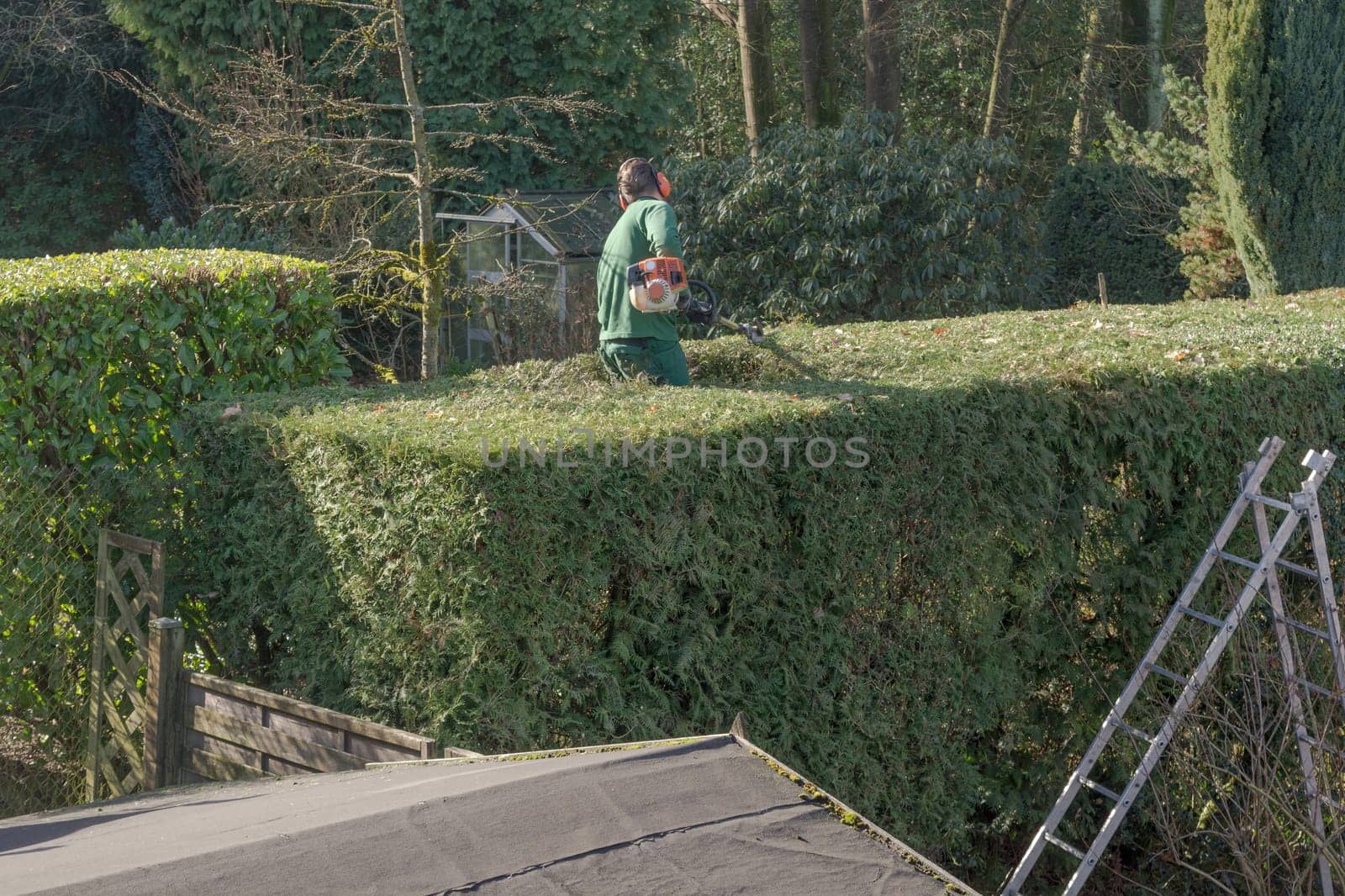 Man gardening with hedge trimmers.