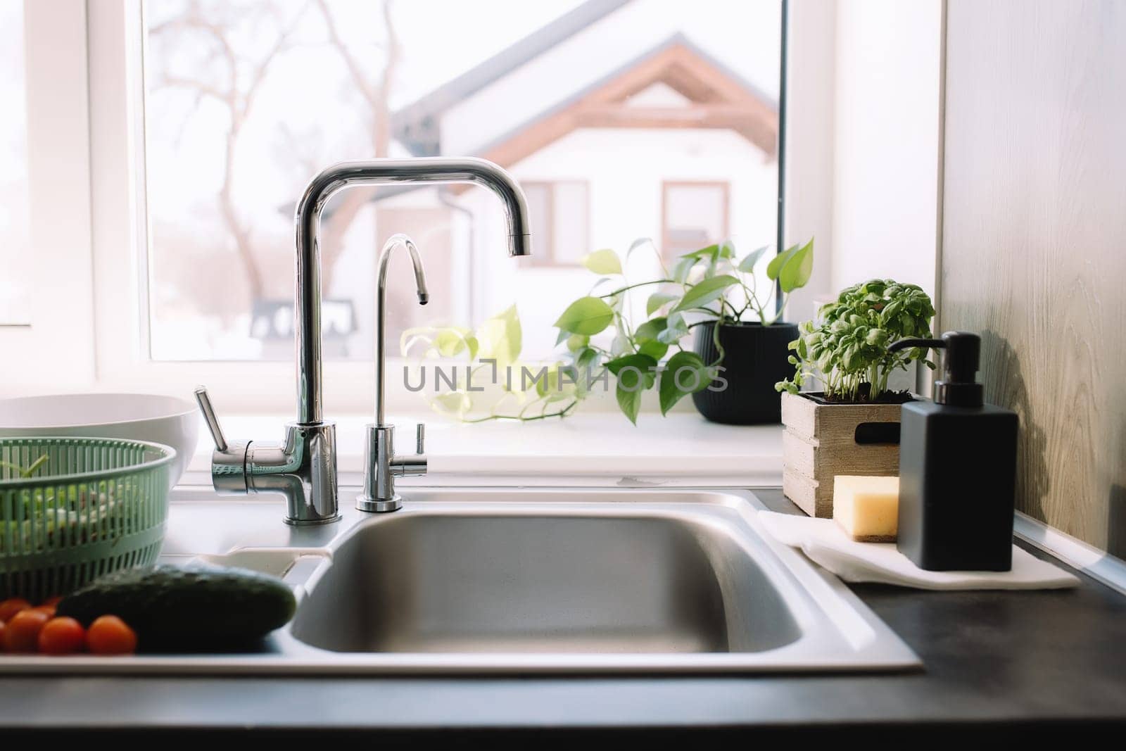 Green salad leaves, cucumber and tomato in kitchen in sink ready to be washed. High quality photo