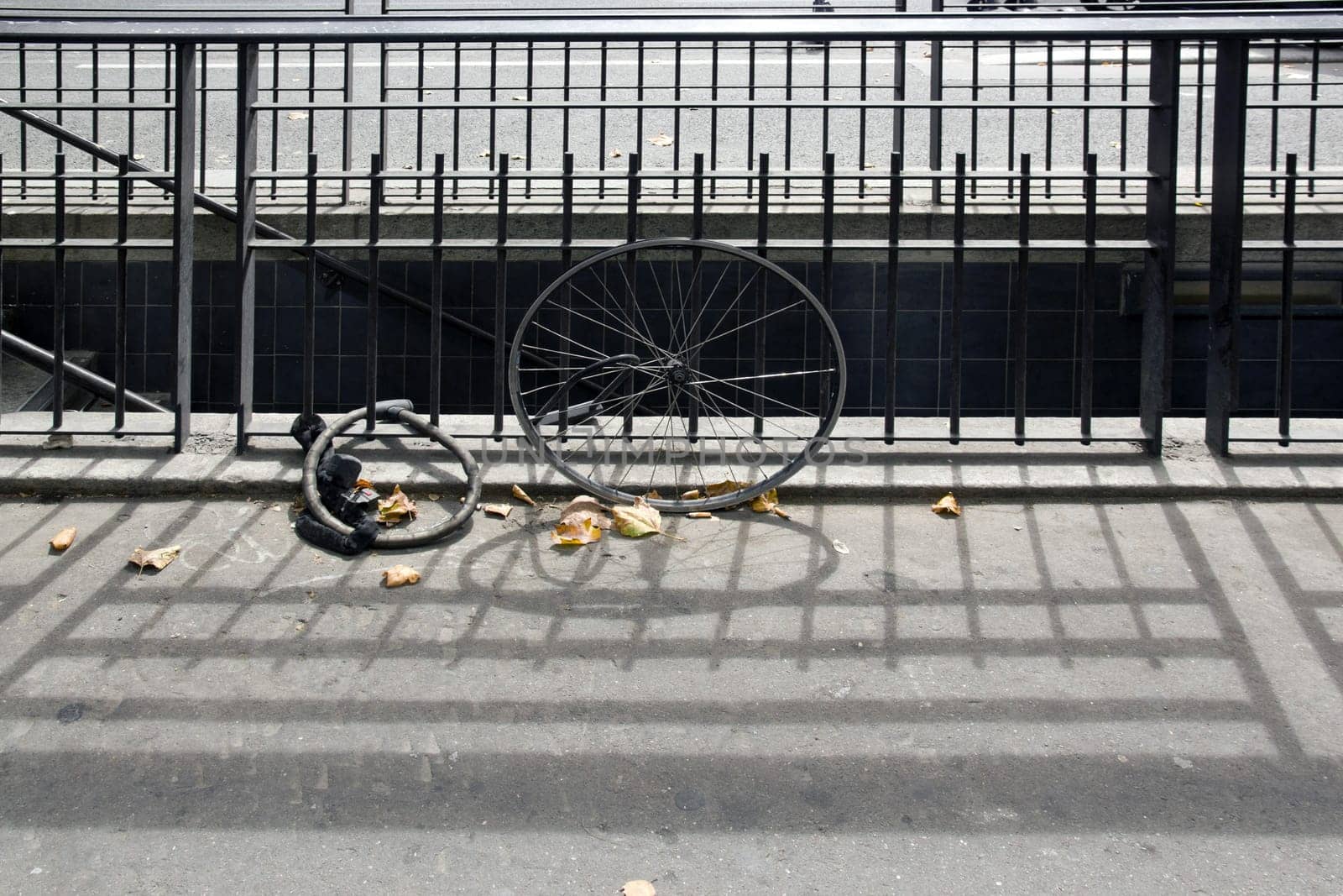 Bike theft in the city. Bicycle wheel and anti-theft device attached to a grid. (Paris, France)