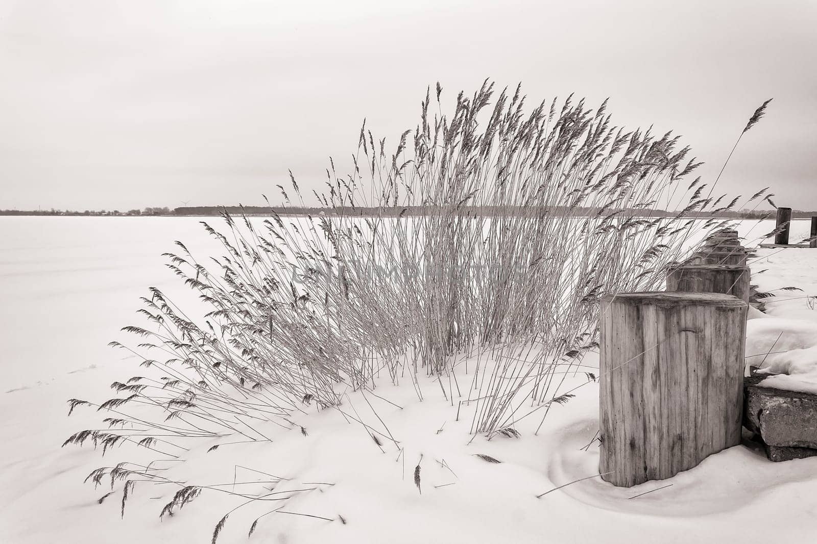 Winter on Fischland-Darß, frozen and snow-covered Saaler Bodden