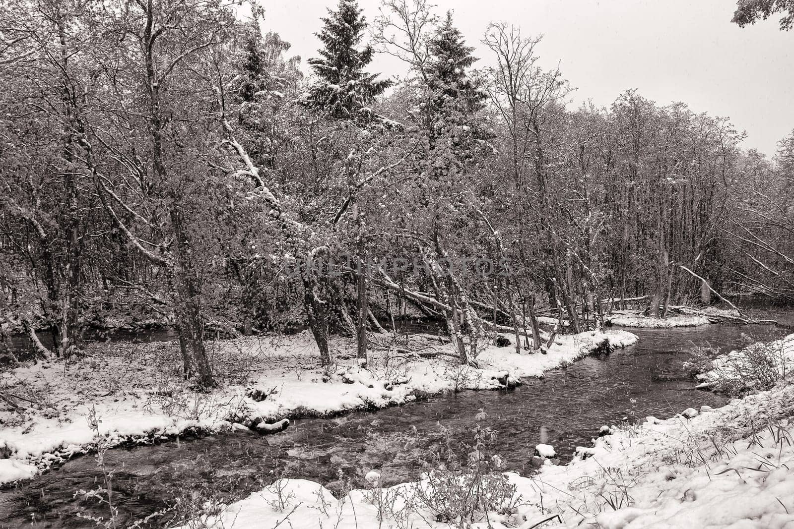 Brook during snowfall in spring, Norway