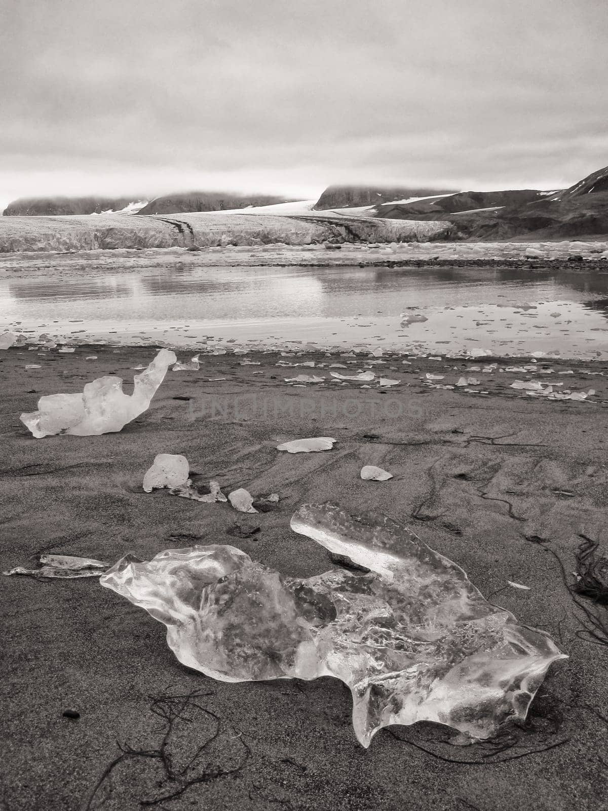 Krossfjorden Spitsbergen, glacier ice