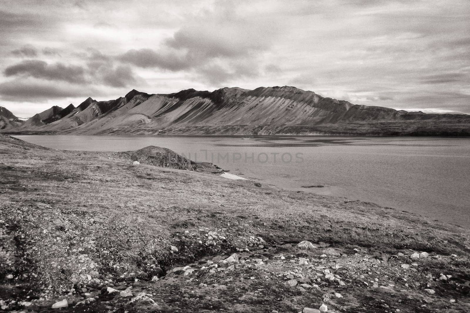 Sailing ship in the Isfjord off Svalbard, Trygghamna