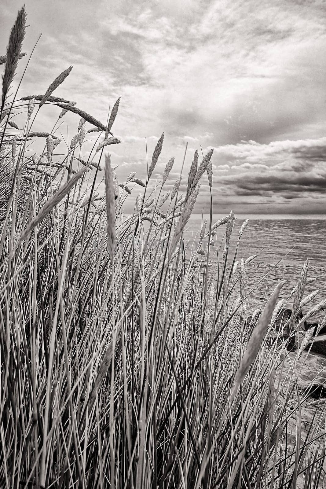 Greifswalder Bodden near Thiessow, Mönchgut, Ruegen island