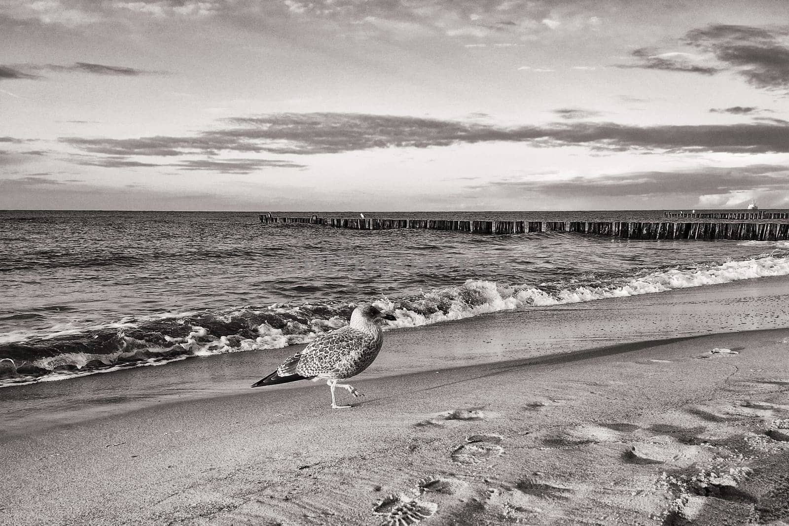 Mecklenburg Baltic Sea coast, Kühlungsborn