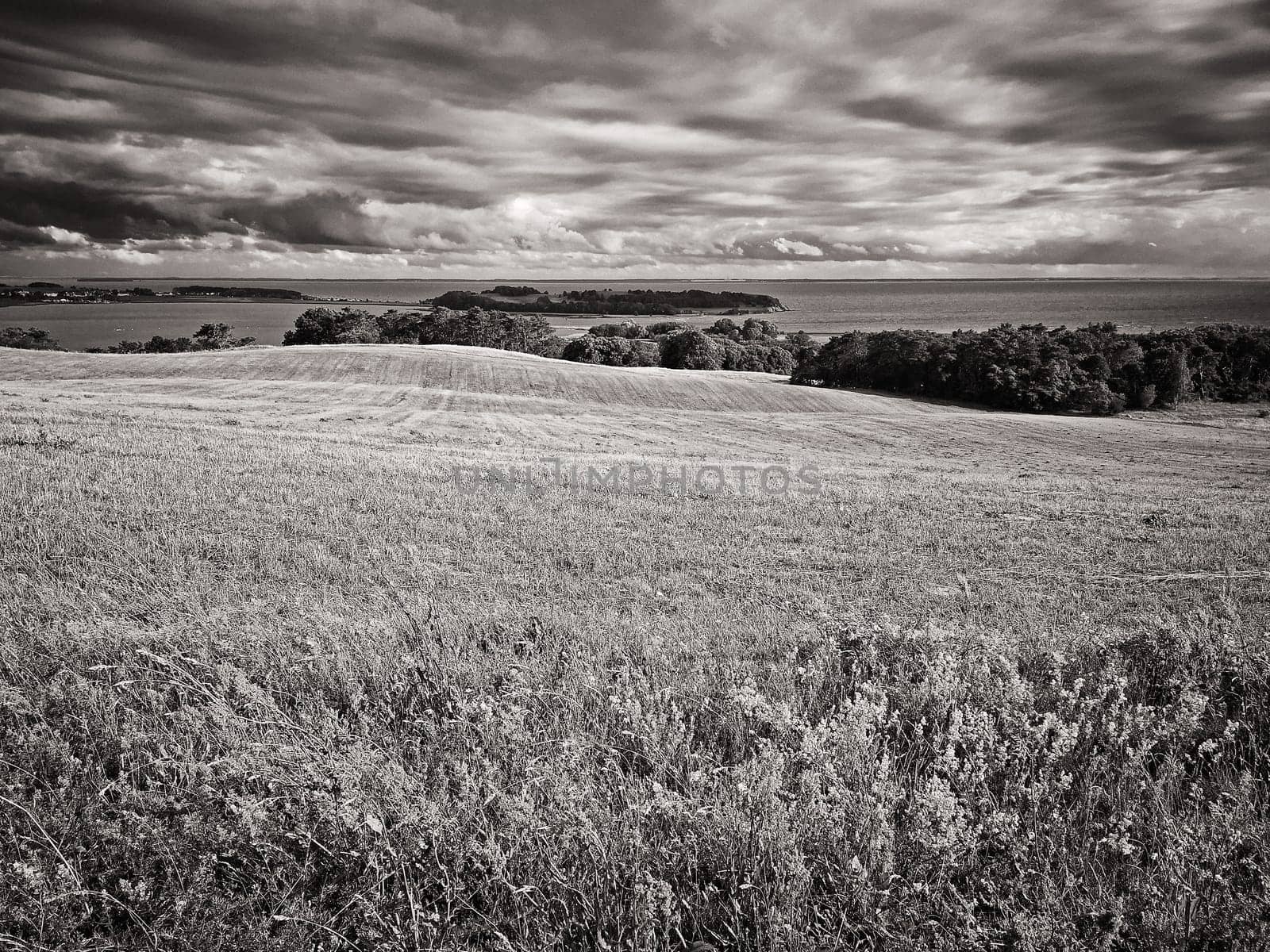 landscape near Groß Zicker, Ruegen island, Germany