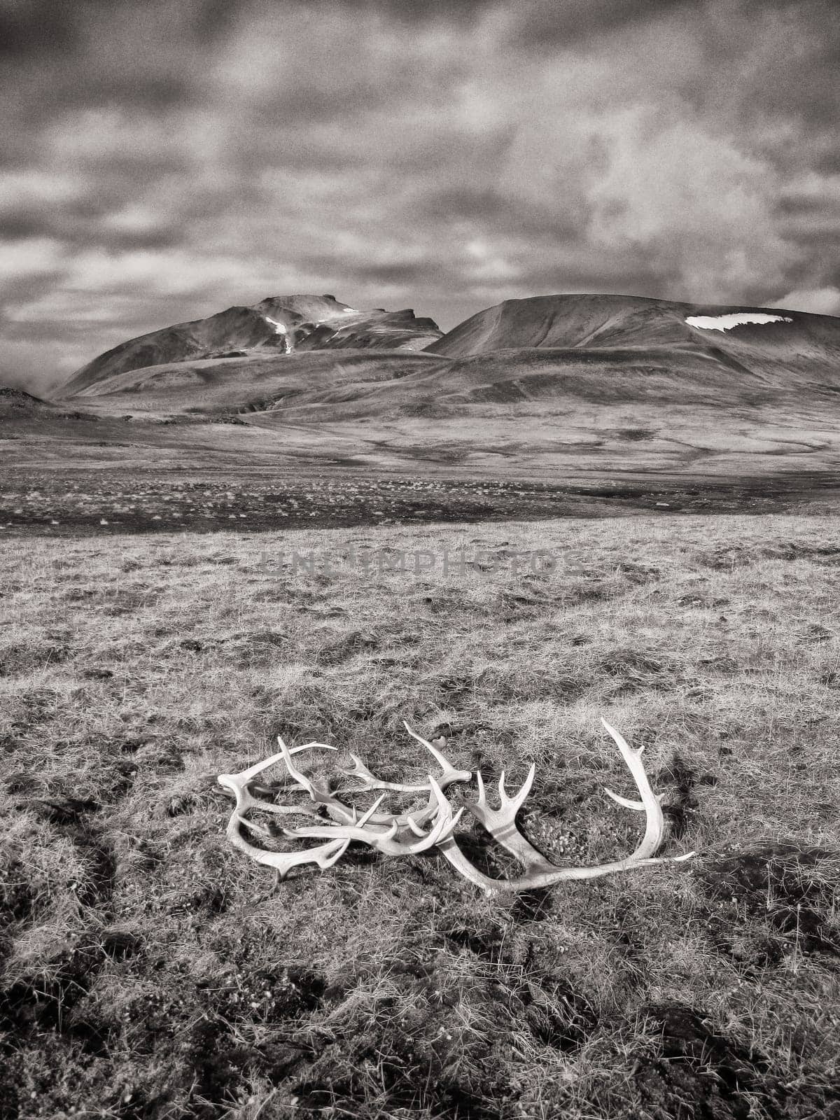 Spitsbergen by Wafue