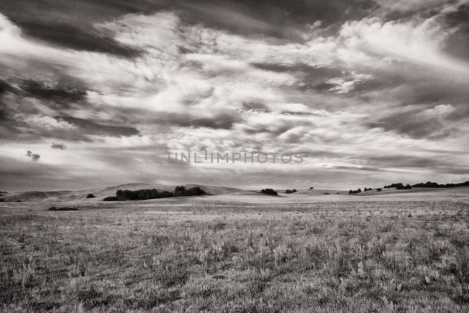 landscape near Groß Zicker, Ruegen Island on the Greifswalder Bodden, Germany