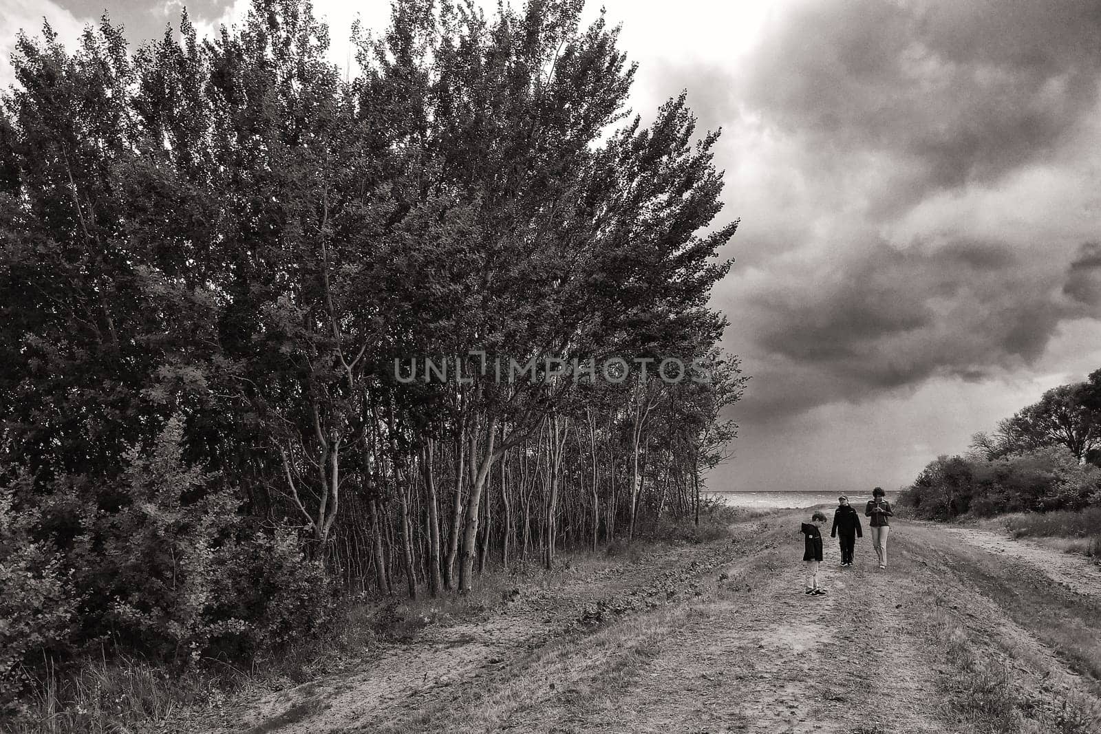 landscape near Groß Zicker, Ruegen island
