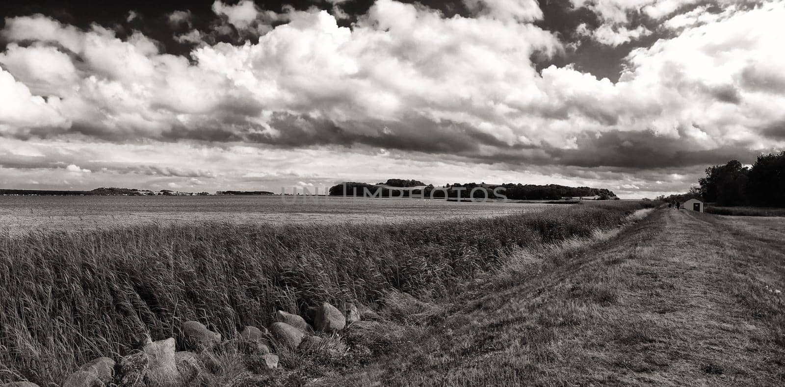 landscape near Groß Zicker, Ruegen Island on the Greifswalder Bodden
