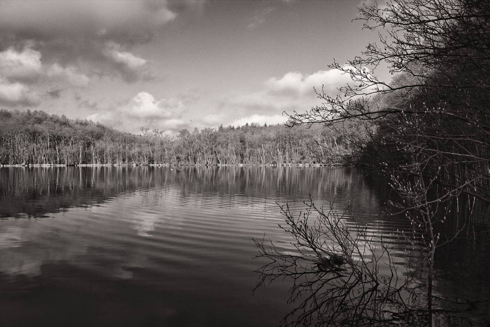 lake Herthasee in the Jasmund National Park, Ruegen island, germany