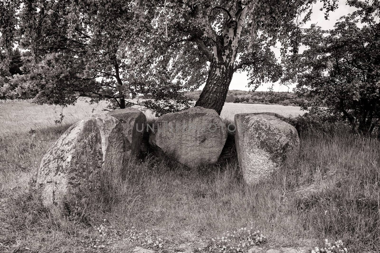 stone tomb under birch, island of Ruegen