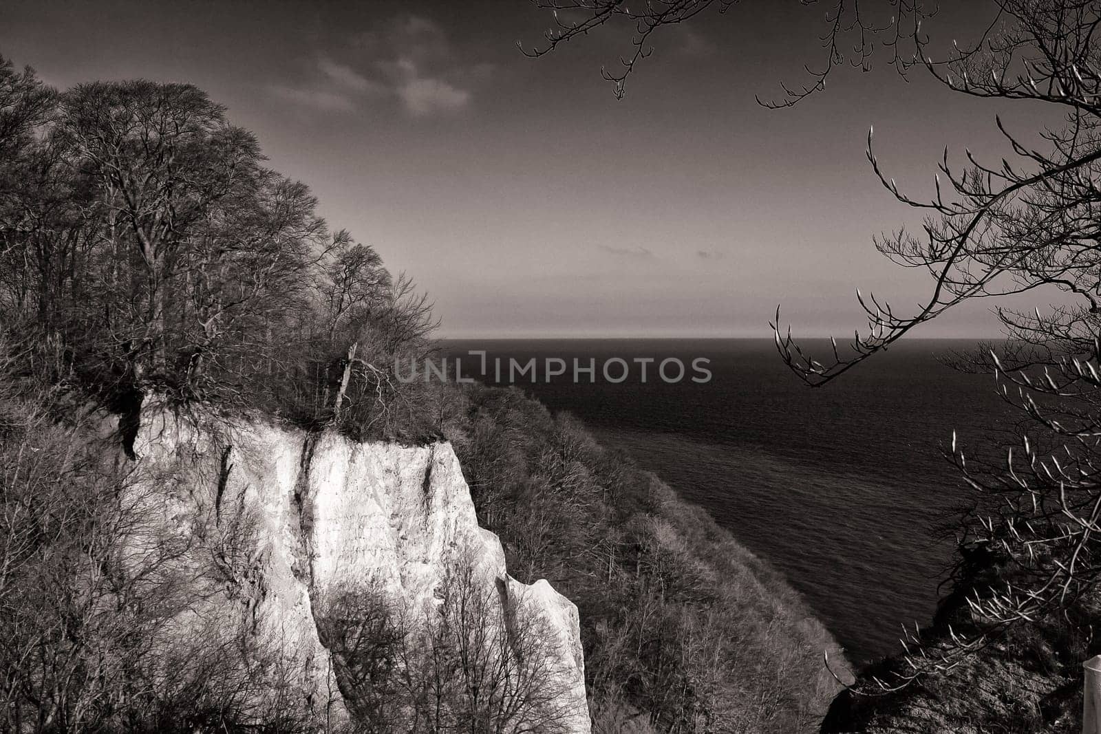 Chalk coast in the Jasmund National Park, Ruegen island