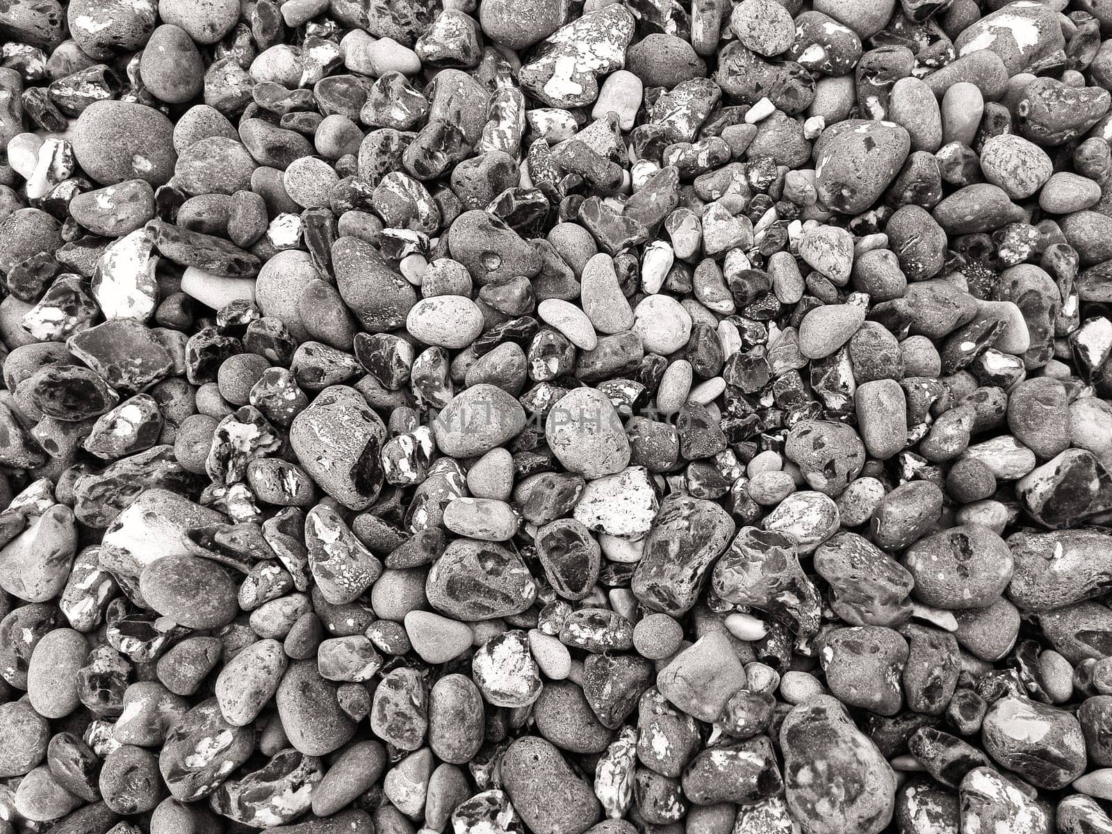 Chalk coast in the Jasmund National Park, Ruegen island