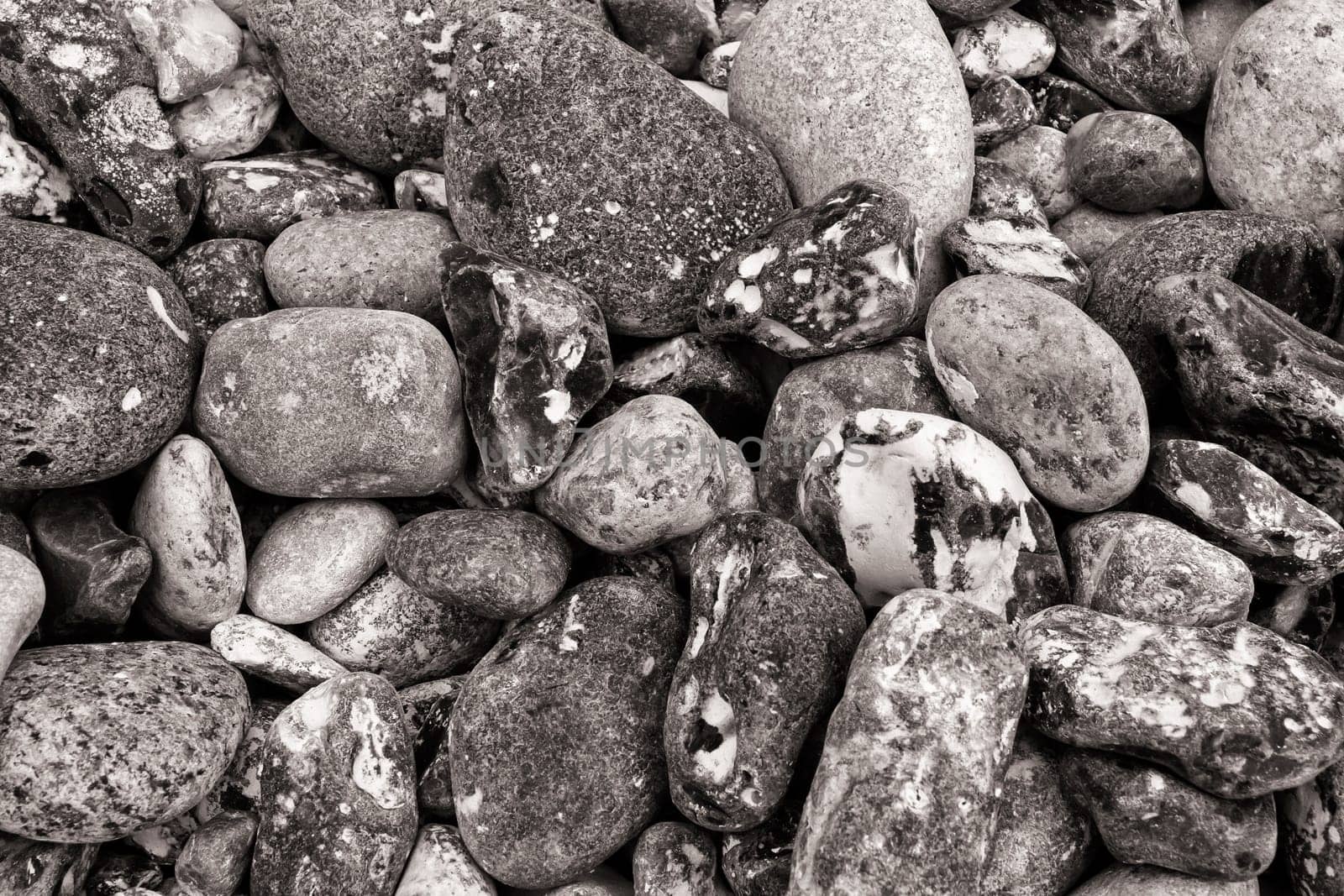 Chalk coast in the Jasmund National Park, Ruegen island