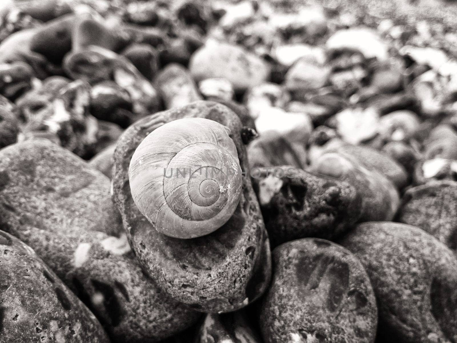 Chalk coast in the Jasmund National Park, Ruegen island