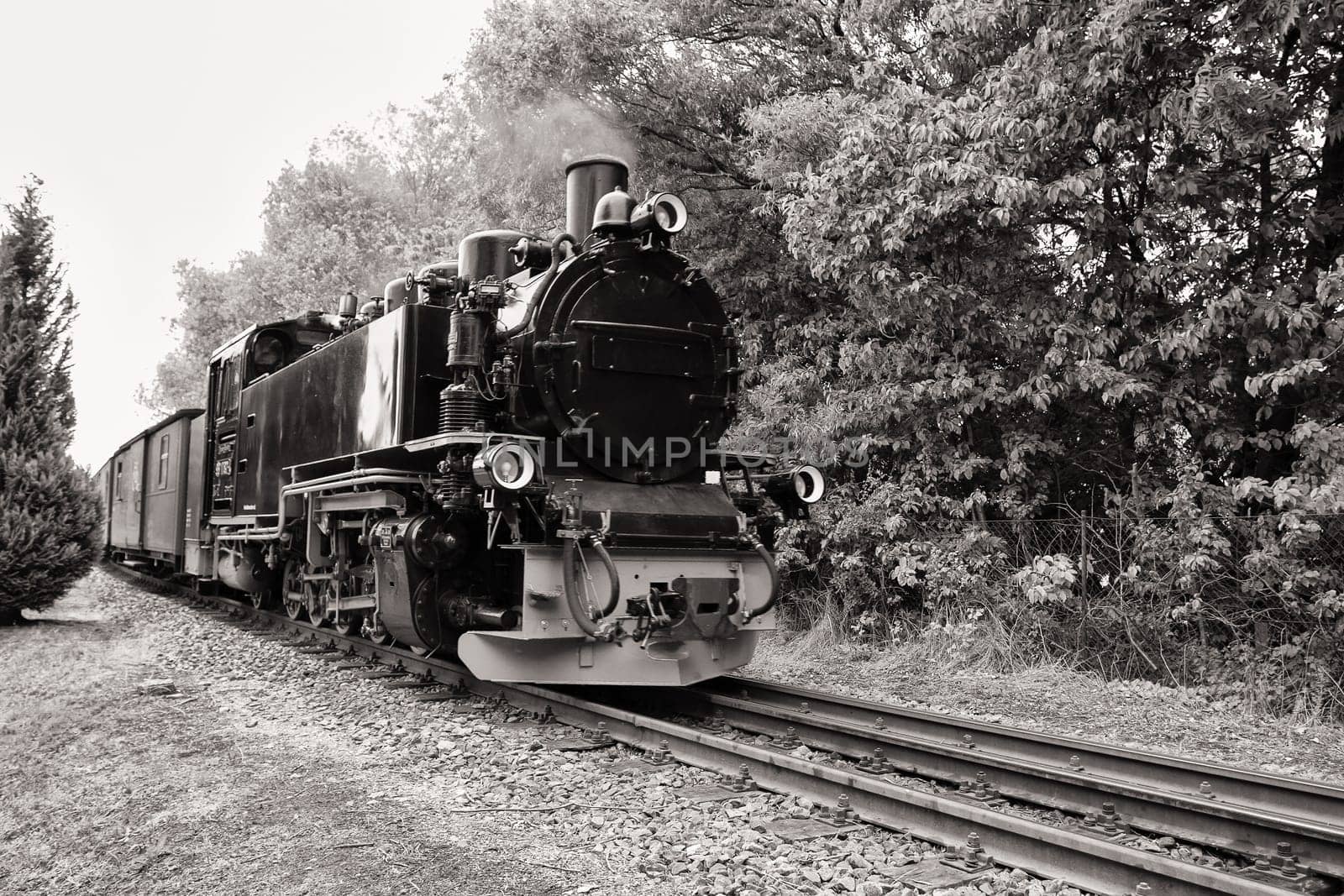 Rügen small train "Rasender Roland"", island of Rügen"