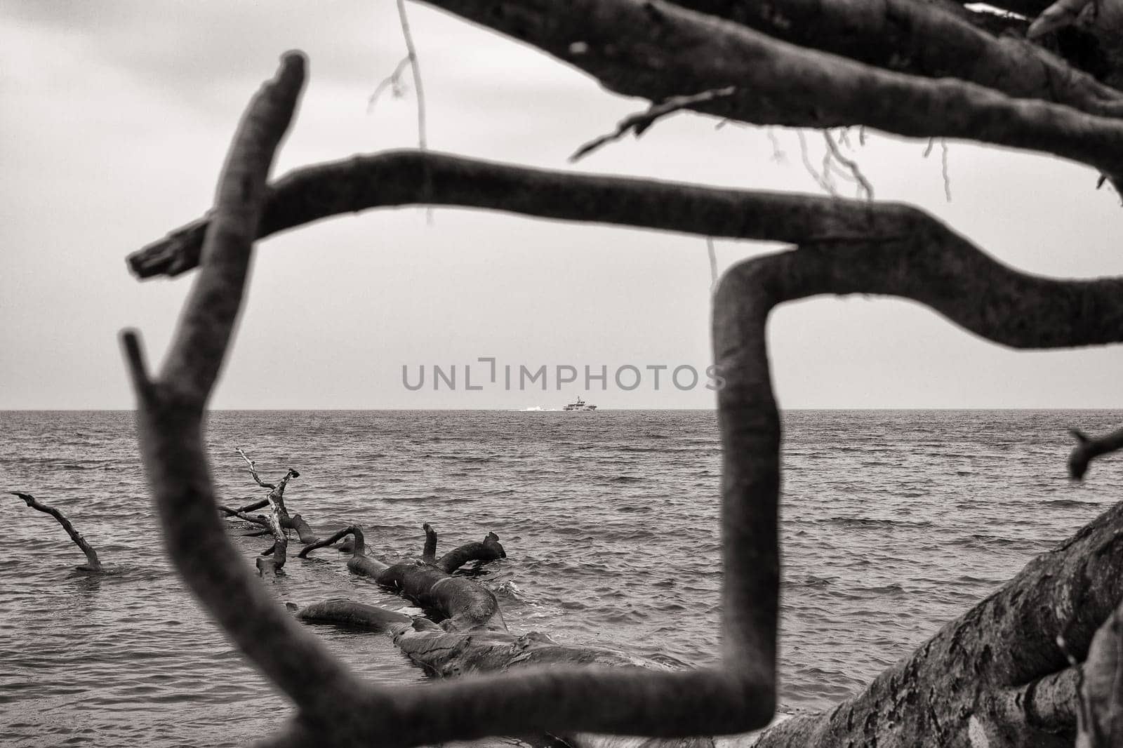 Chalk coast in the Jasmund National Park, Ruegen island