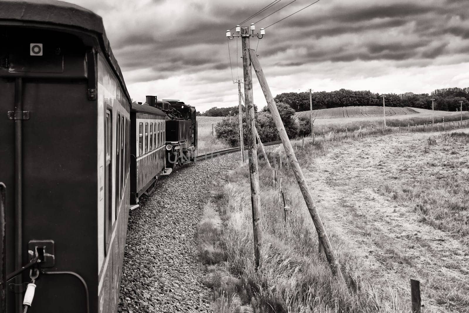 Rügen small train "Rasender Roland"", island of Rügen"
