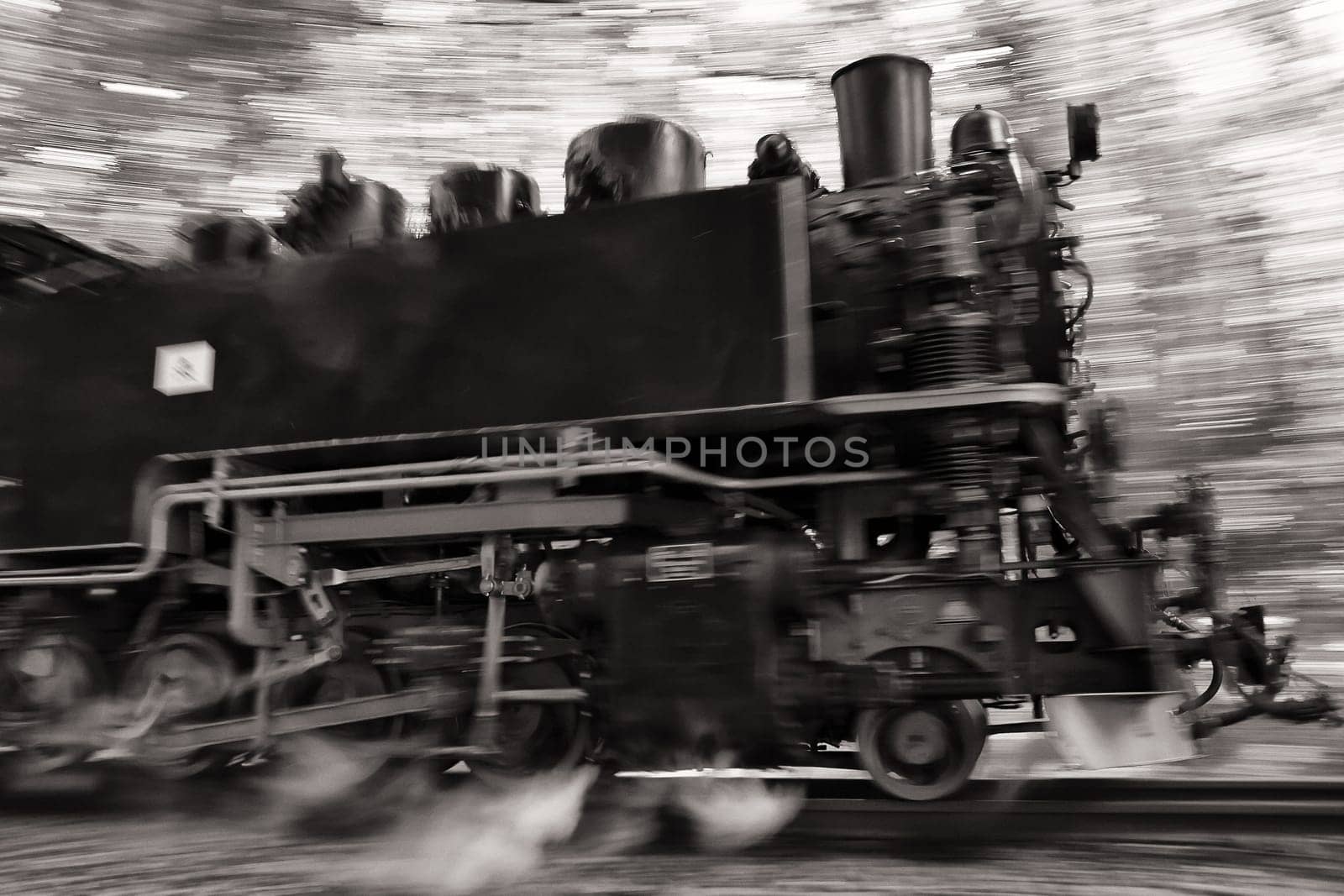 Rügen small train "Rasender Roland"", island of Rügen"