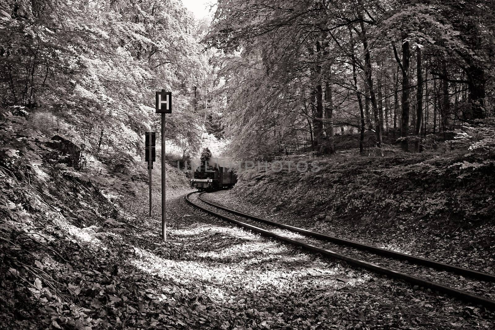 Rügen small train "Rasender Roland"", island of Rügen"