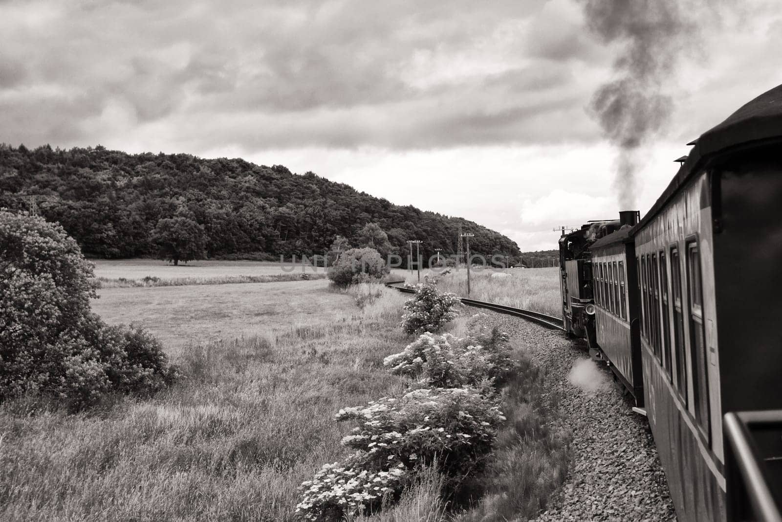Rügen small train "Rasender Roland"", island of Rügen"