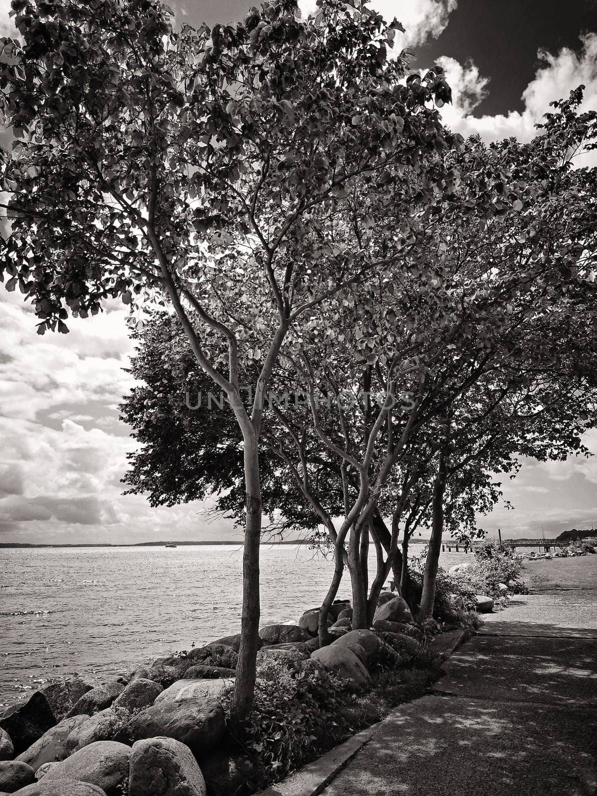 Sassnitz, Mecklenburg Baltic Sea Coast, Ruegen Island