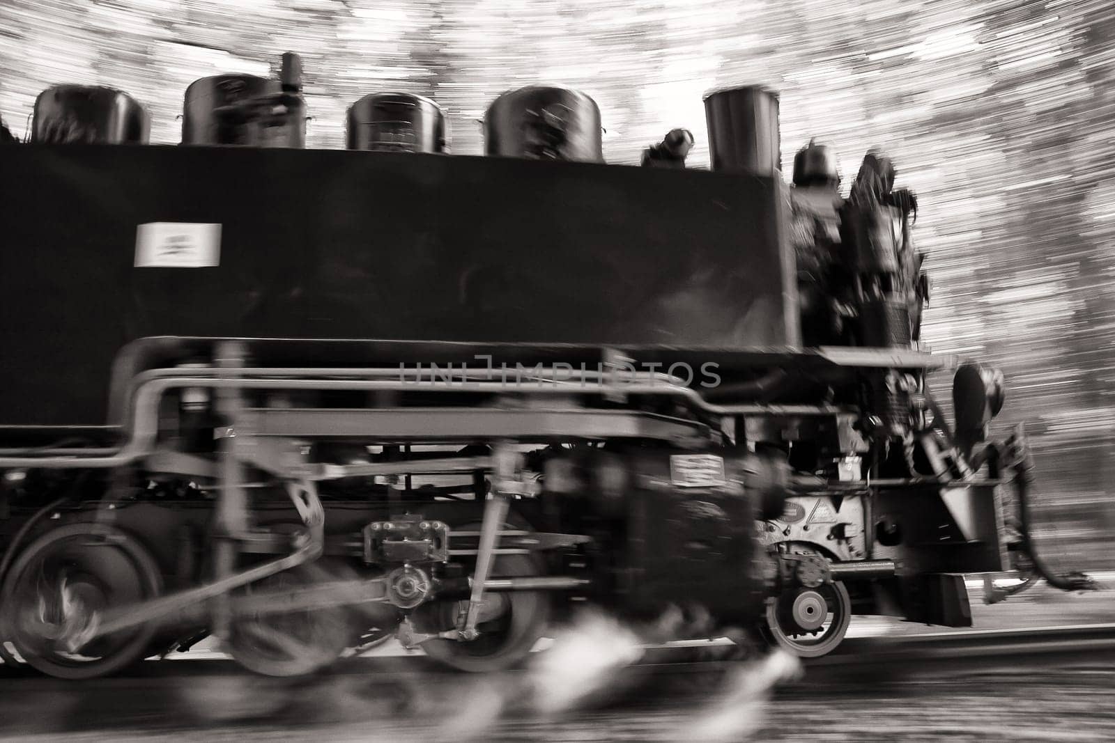 Rügen small train "Rasender Roland"", island of Rügen"
