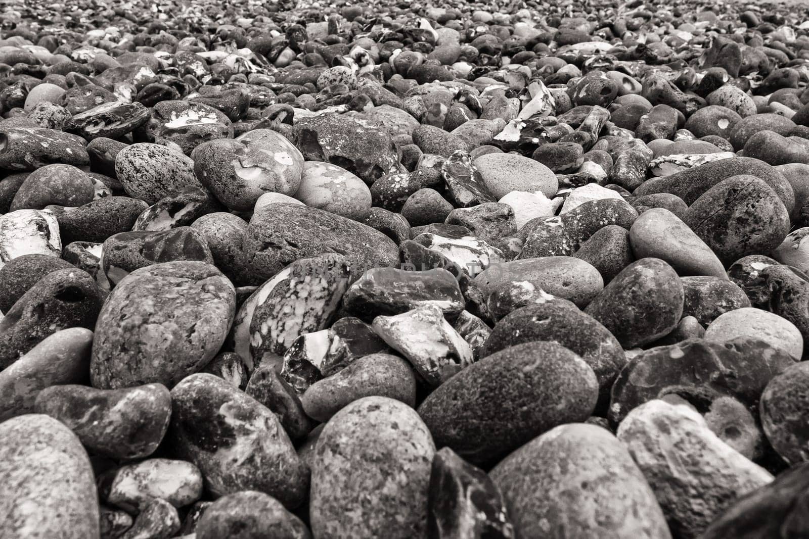 Chalk coast in the Jasmund National Park, Ruegen island