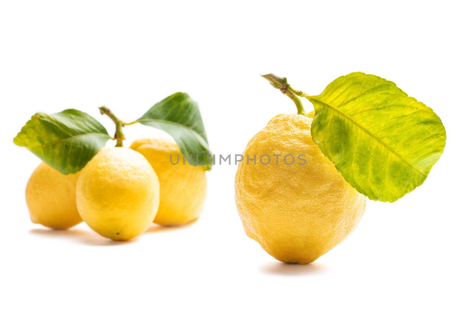 Close up of ripe lemons with leaves on white background. Healthy nutrition. Health.