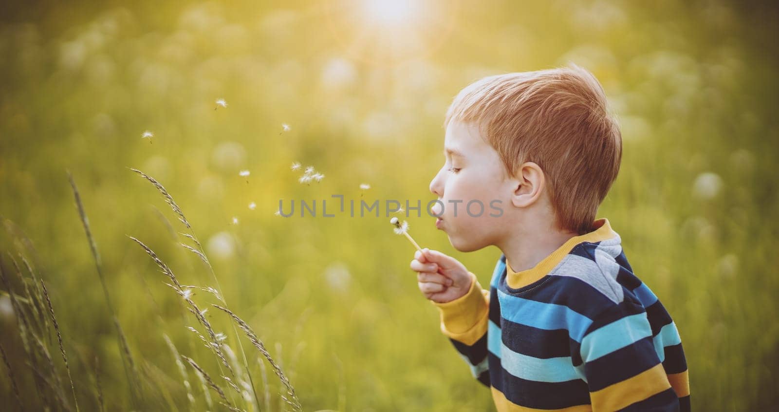 Happy boy blowing on the white dandelion's blowball at sunny summer evening. Child outdoors in nature
