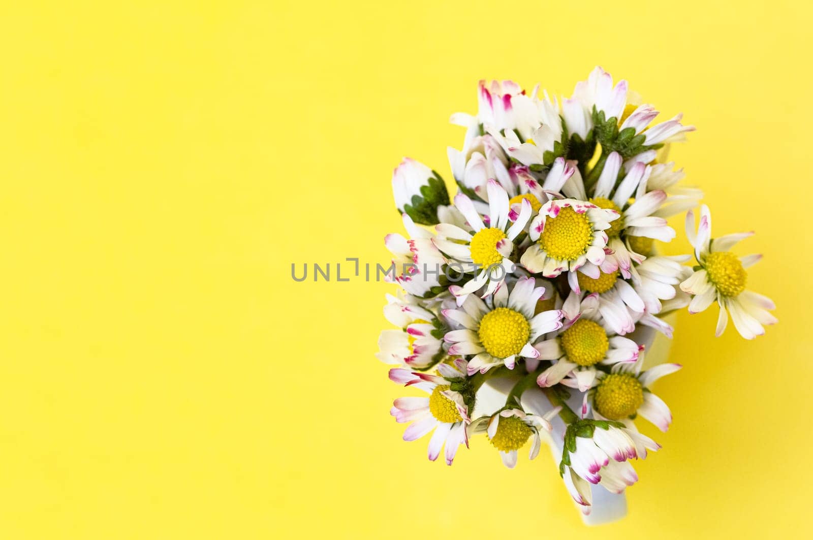 Daisy flowers in a vase on a pastel yellow background with copy space. minimalist style. Spring holidays concept. Banner. Soft focus
