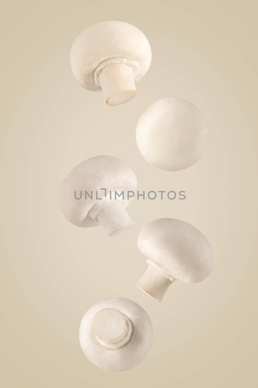 Isolated vegetables. Five whole champignon mushrooms falling down with clipping path as package design element. Full depth of field. Food levitation concept.