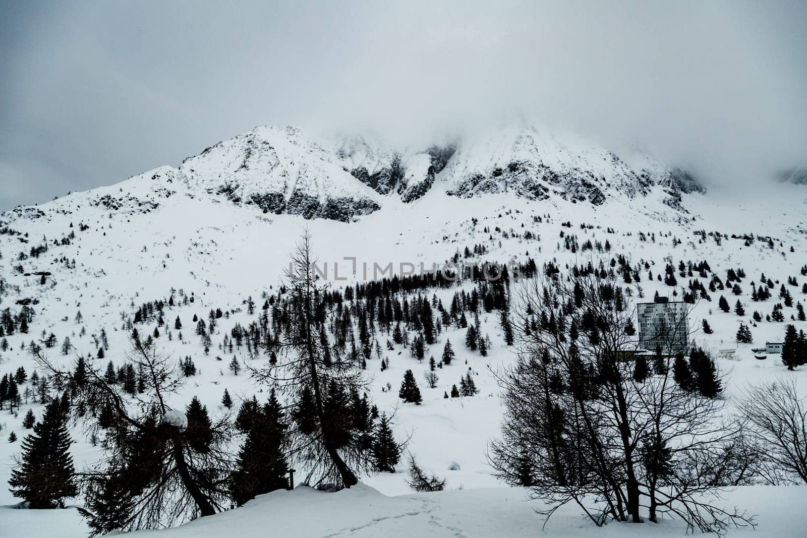 Winter landscape with lots of white snow. Concept of vacation during the winter holidays in the high mountains. Selective focus. Presena Glacier, Italy